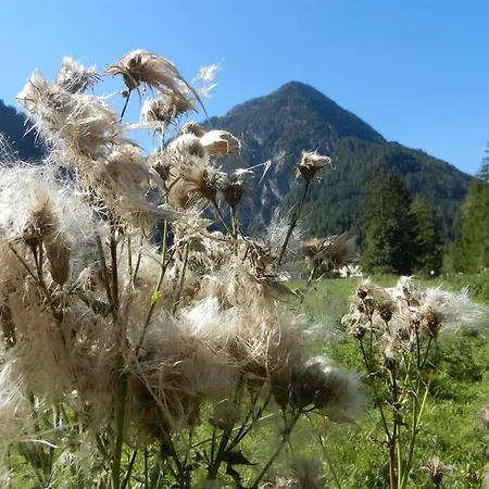 Prázdninový dům Gaestehaus Hoamat'l Bach (Tyrol)