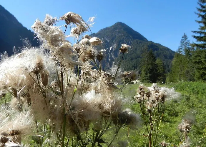 Holiday home Gaestehaus Hoamat'l Bach (Tyrol)