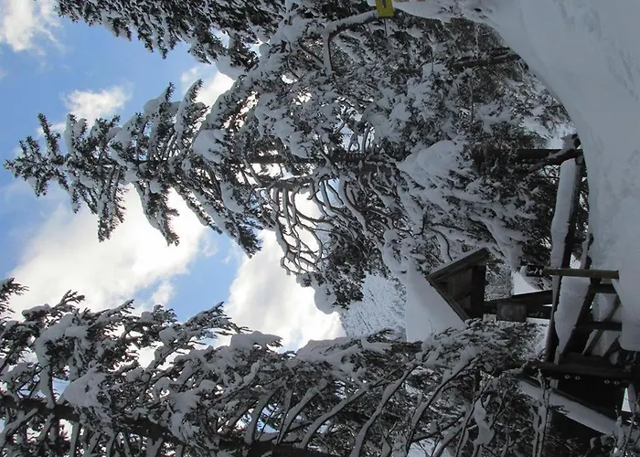 Gaestehaus Hoamat'l Holiday home Bach (Tyrol)