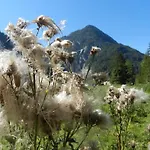 度假居 Gaestehaus Hoamat'l 巴赫
