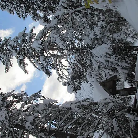 Gaestehaus Hoamat'l Nyaraló Bach